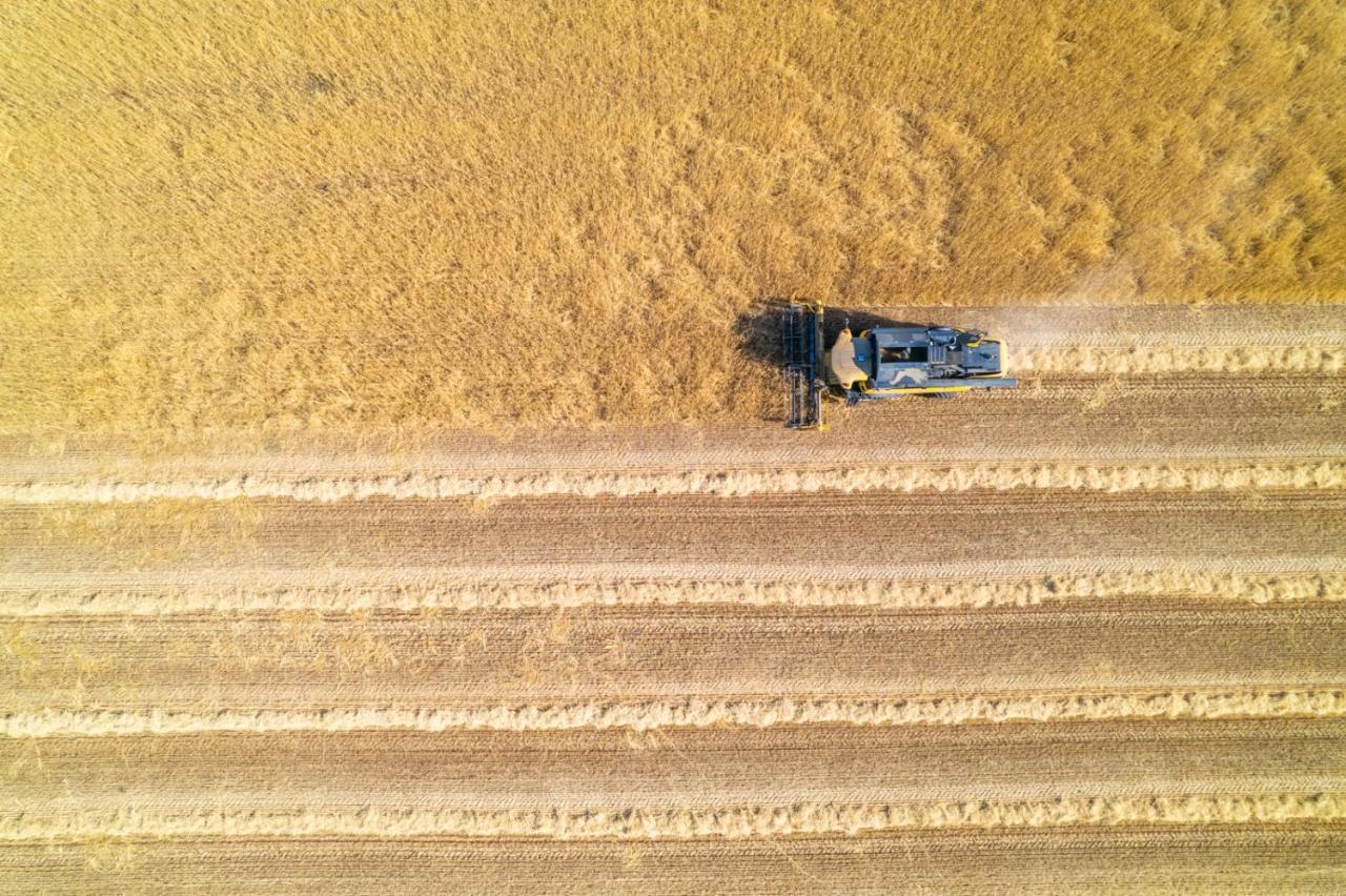 Appartamenti Riva Degli Etruschi San Vincenzo Bagian luar foto